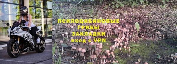 прущая мука Остров