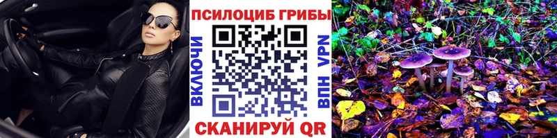 Галлюциногенные грибы Psilocybine cubensis Стрежевой